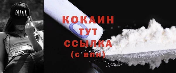 2c-b Богородицк